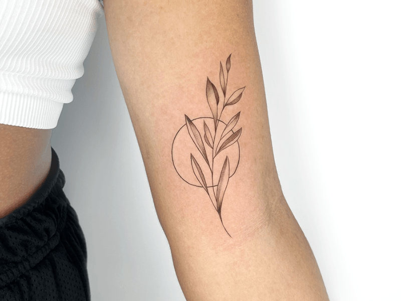Elegant minimalistic tattoo of a plant design on an arm.