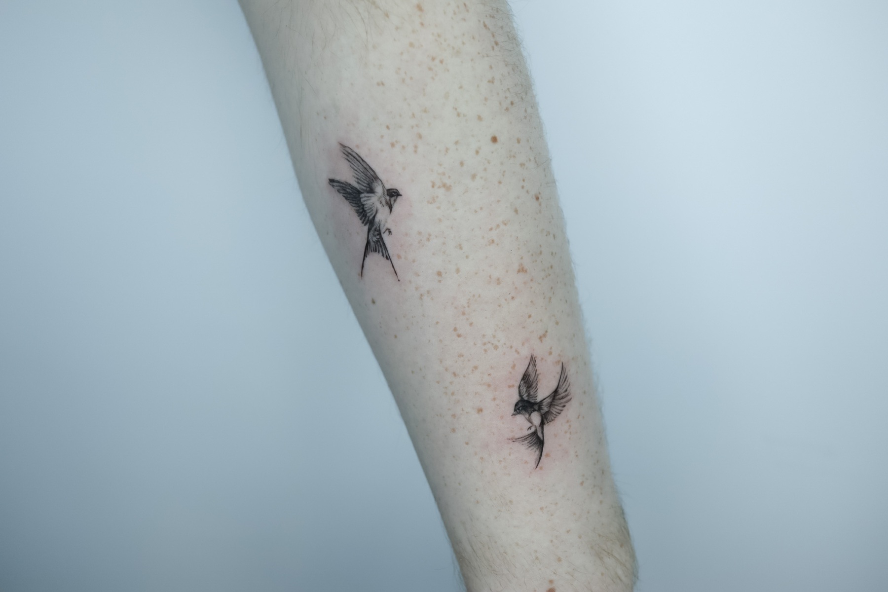 Tattoo of two birds on a forearm
