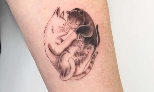 Cat Tattoo