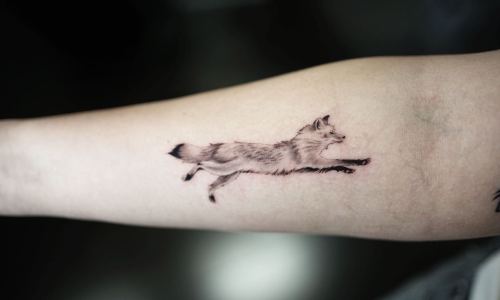 Fine Line Fox