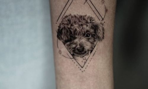 Puppy Portrait